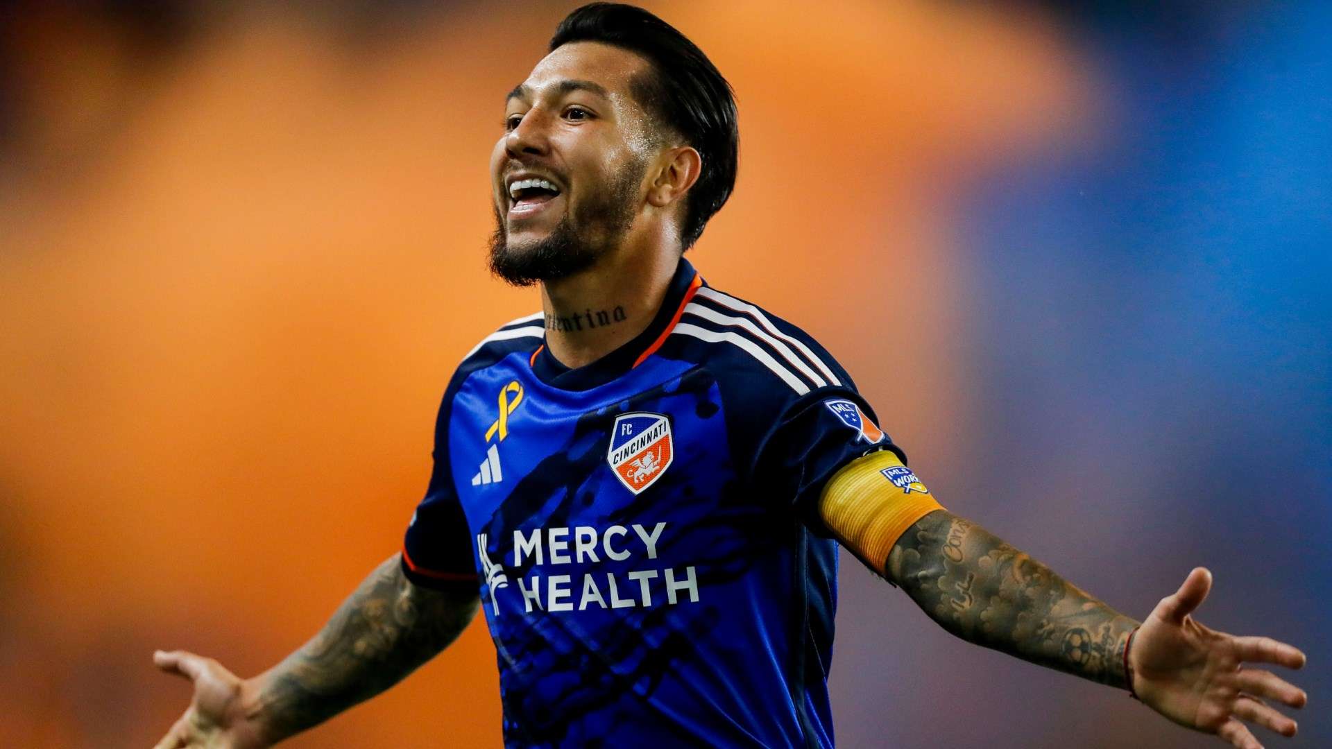 了多样化的 了多样化的